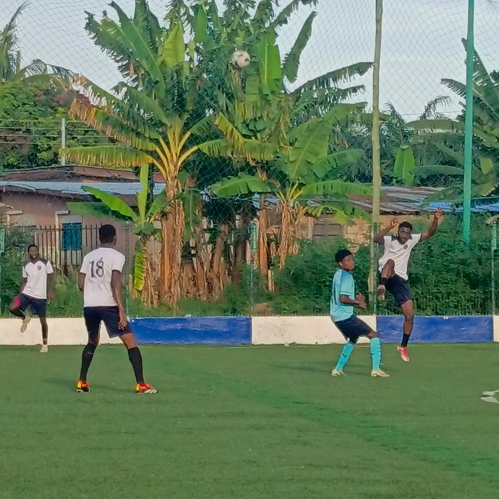 Senior Team